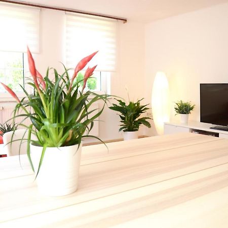 #Hoenepartment - Timeout Waldhessen - Bis Zu 8 Pers. Honebach エクステリア 写真